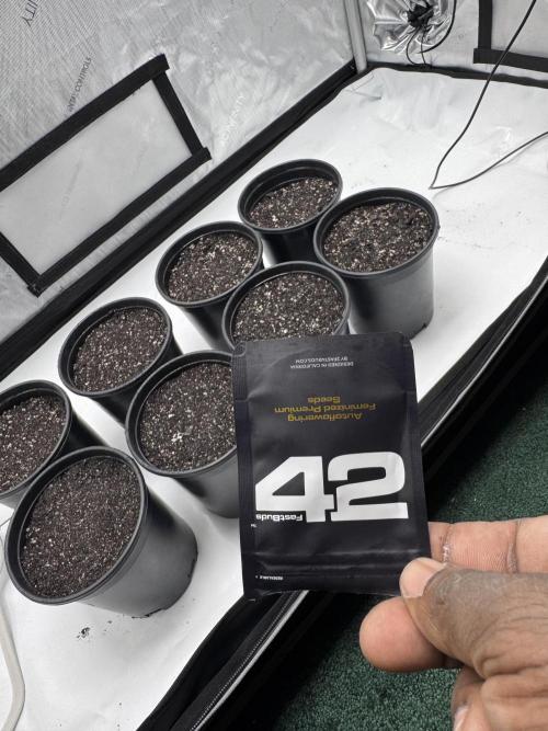 First run of 2026. Week 0 - Can’t go wrong with fastbuds!!