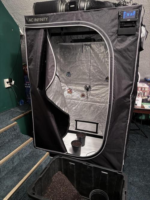 First run of 2026. Week 0 - Ac Infinity is the only way to go! 