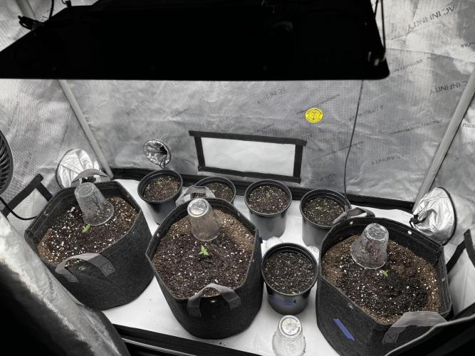 First run of 2026. Week 0 - All popped 