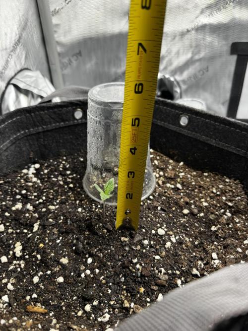 First run of 2026. Week 1 - Not too bad for 8 days 