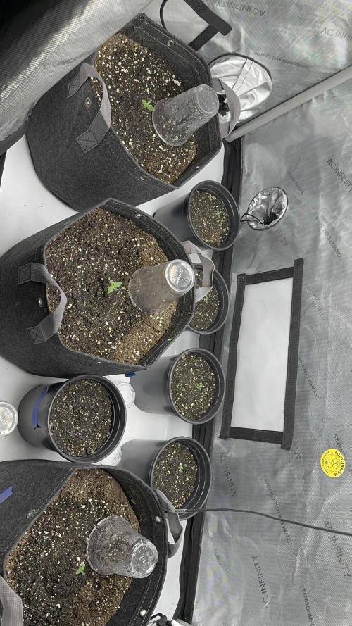 First run of 2026. Week 1