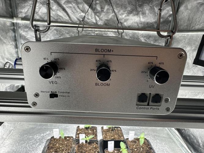 Bio growing mit organics nutrients. Week 0