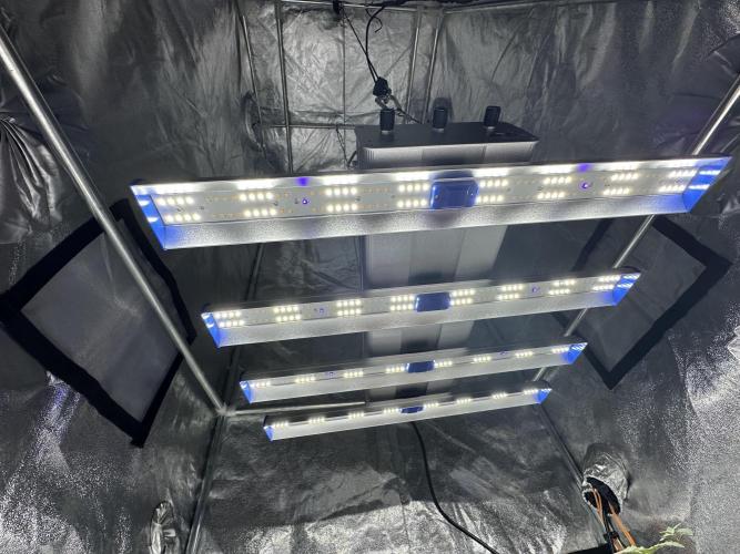 Bio growing mit organics nutrients. Week 0