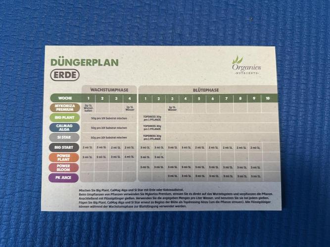 Bio growing mit organics nutrients. Week 1