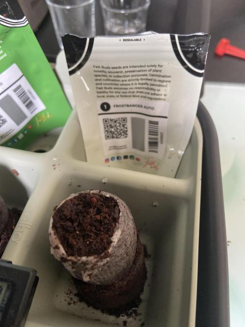 Frostbanger Auto Outdoor Living Soil. Week 0