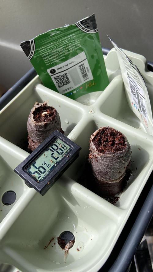 Frostbanger Auto Outdoor Living Soil. Week 0