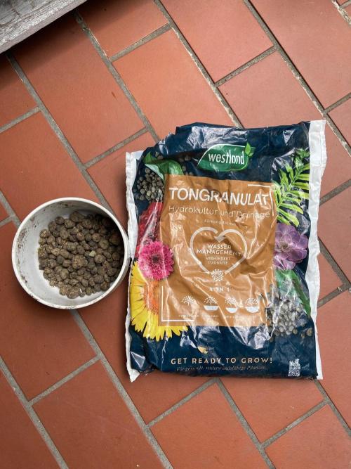 Canna-Community-Project. Week 0