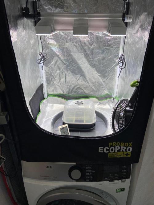 Probox Ecopro 60. Week 1