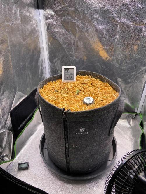 Canna-Community-Project. Week 2