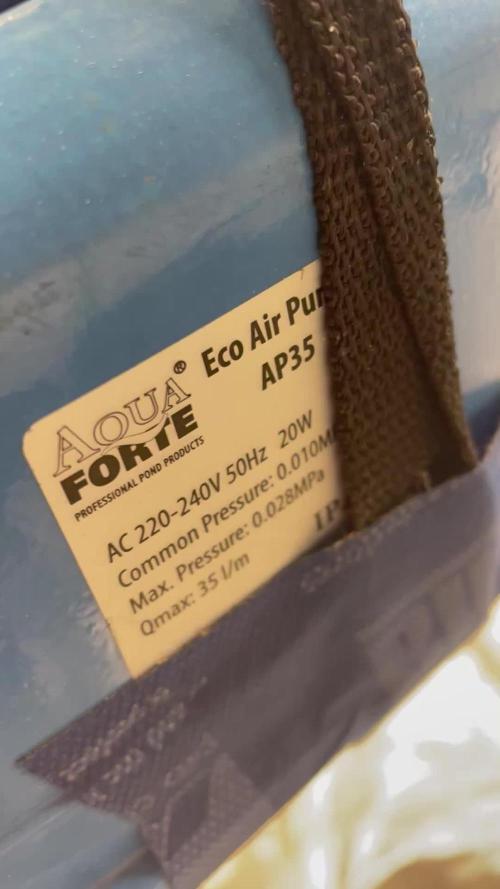 3x Cap Junky - Blimburn- DWC grow