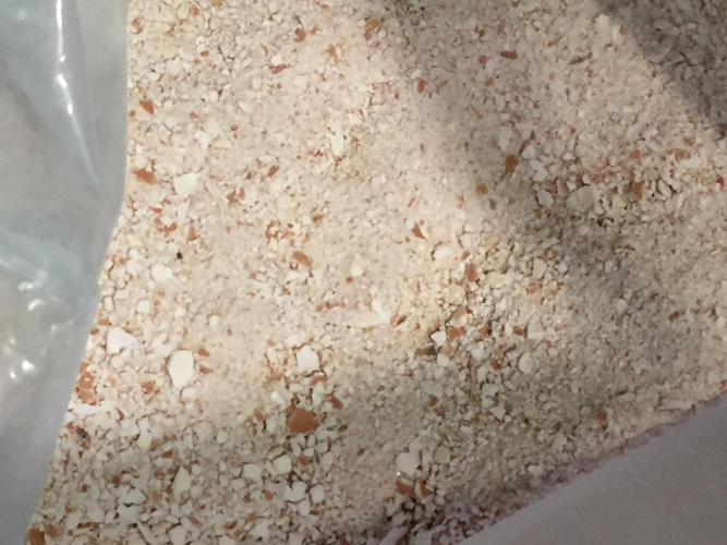 PAPAYA COOKIES AUTO. Week 0