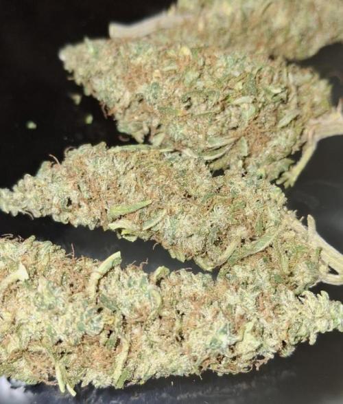 OLE LARRY OG. Week 14