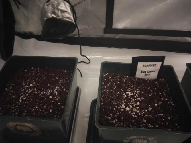 4 Auto´s. Week 0