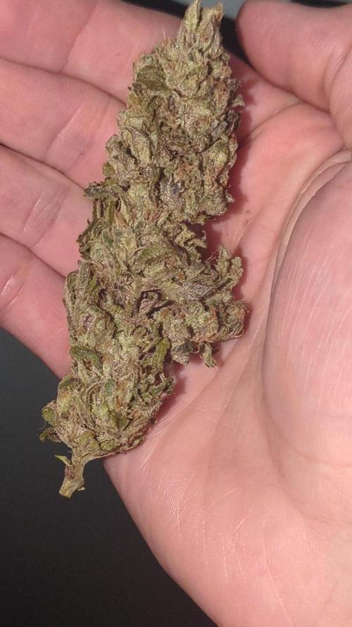 First Big Run. Week 9