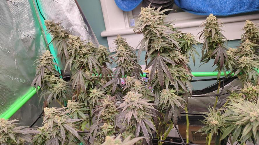 First Big Run. Week 9