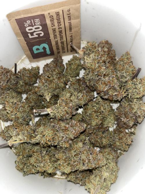 Wedding Cake Automatic. Week 12