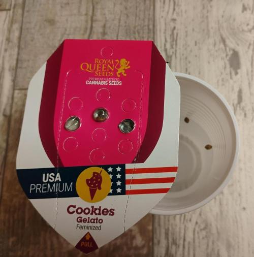 Kutil sa bavil.. Week 0