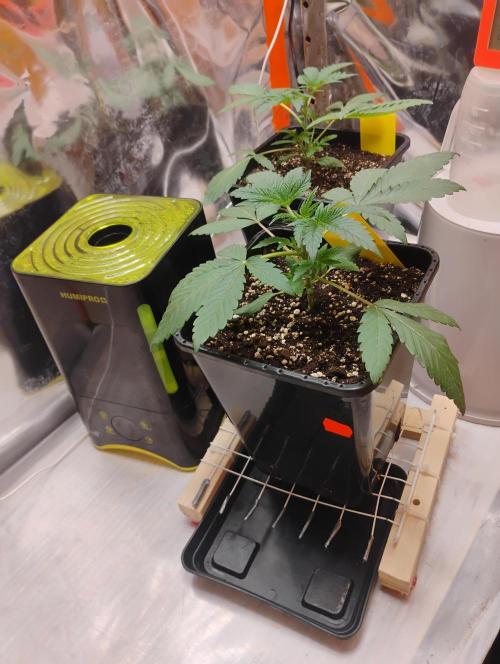 Kutil sa zabáva.. Week 3 - Košíky urobené lepšia manipulácia.