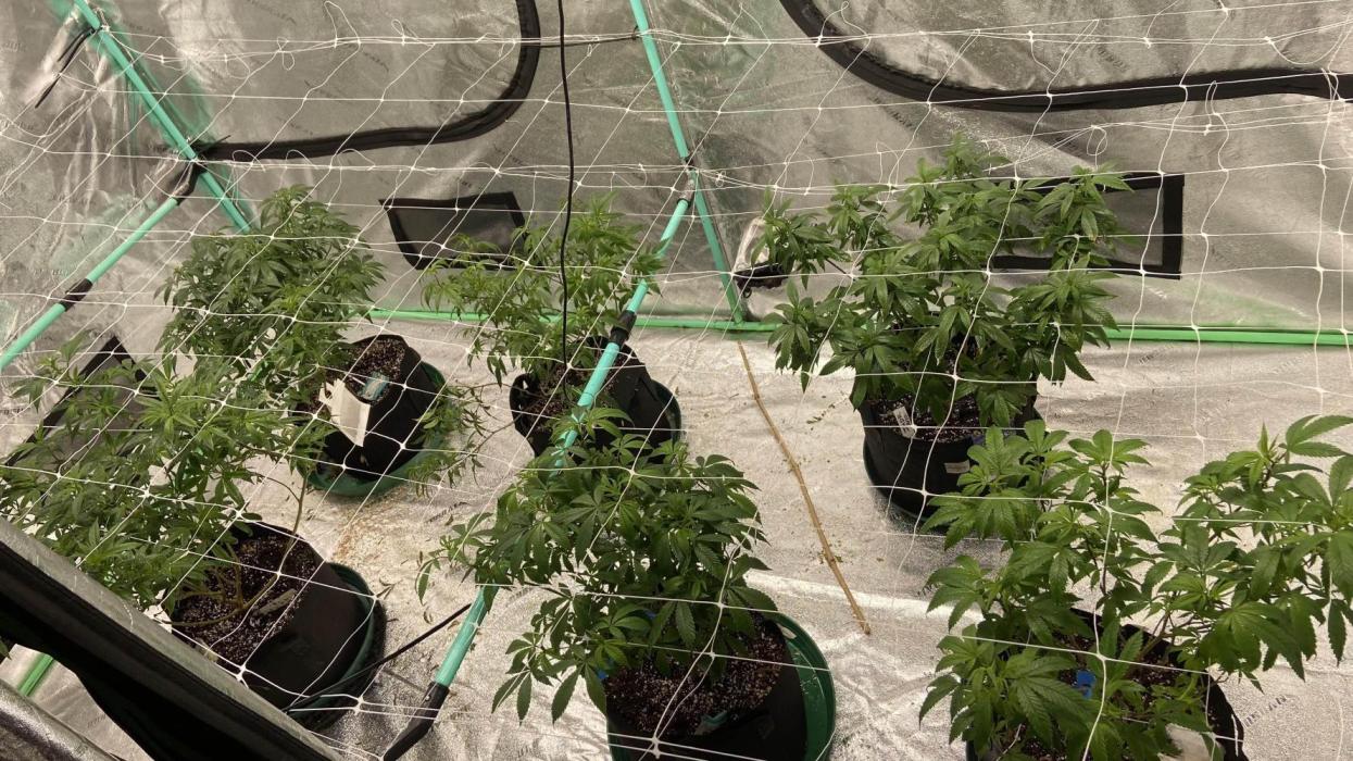 2026 First Run. Week 2