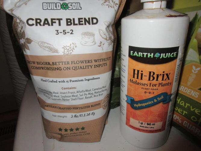 Grapefruit Grow. Week 1 - Nutrients for compost tea