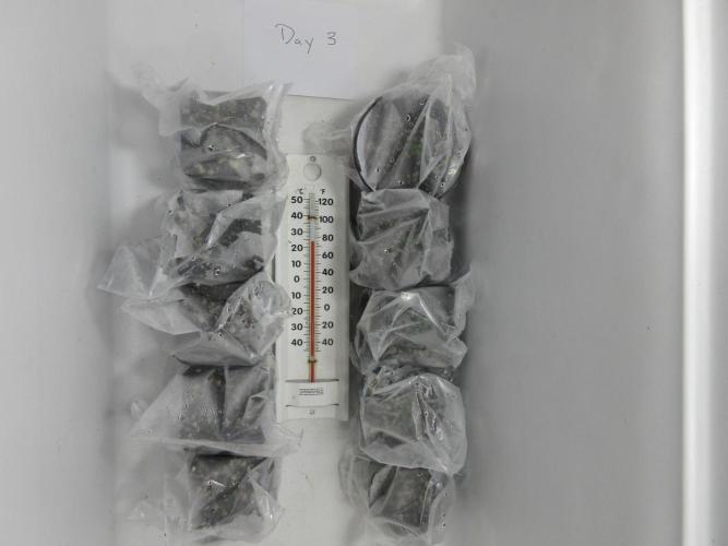 Apollo 11 x Grimm Glue Cross. Week 0 - Starts with hoods