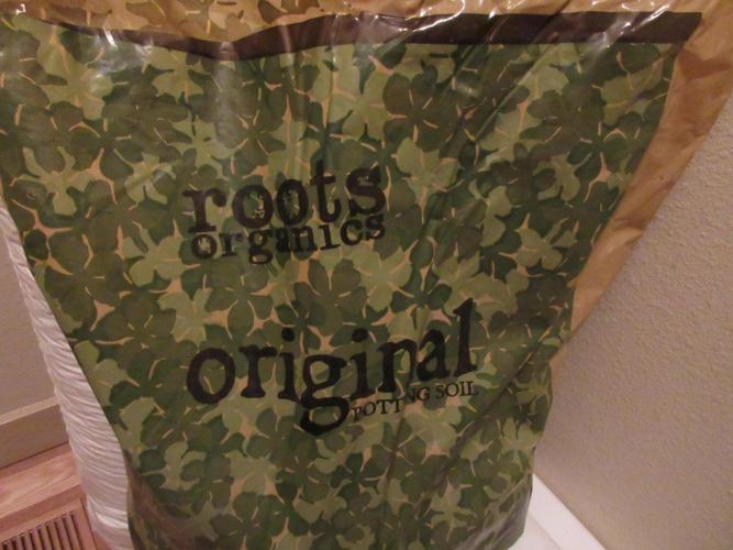 Apollo 11 x Grimm Glue Cross. Week 1 - Roots Organics Original Soil