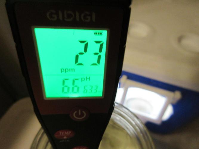 Grapefruit Grow. Week 3 - PH 6.6