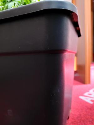 Comment by StonedSteve photo #2