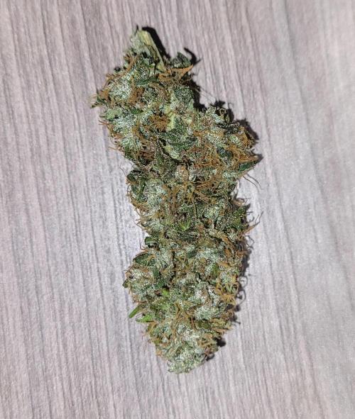 2 Round Super Skunk Automatic. Week 15
