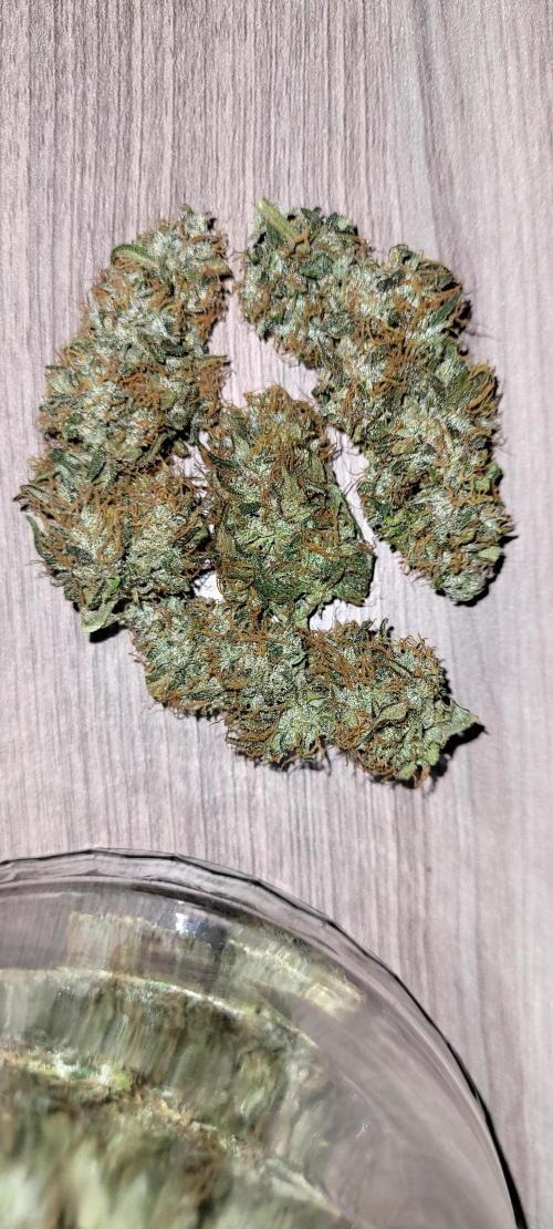 Super Skunk Automatic. Week 15