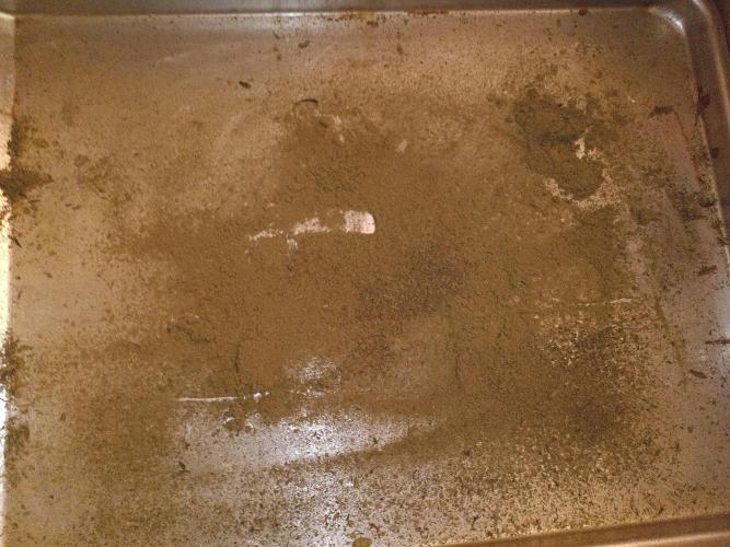 Blueberry + Critical Kush testing Setup. Week 10