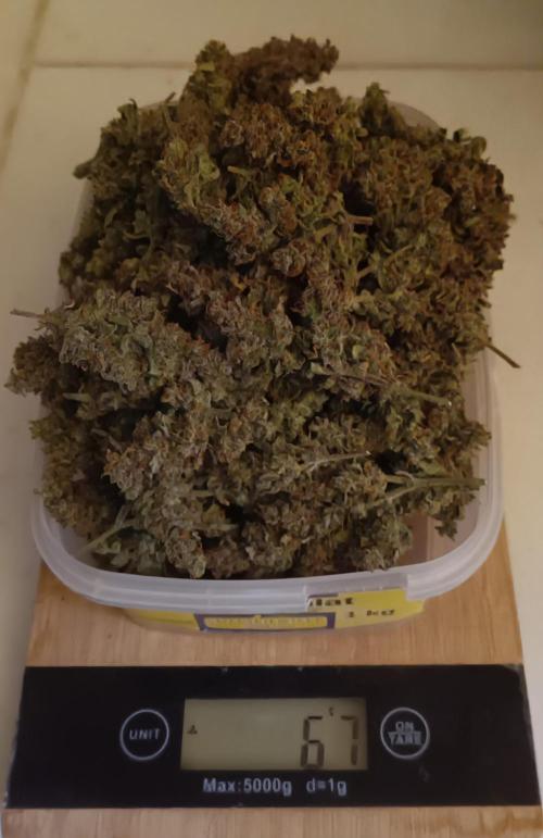 Fat Bastard Auto + Weding Cake Auto+RBB. Week 12 - Result RBB 1
