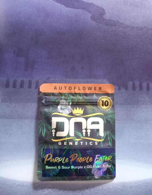 Purple People Eater Auto. Week 0
