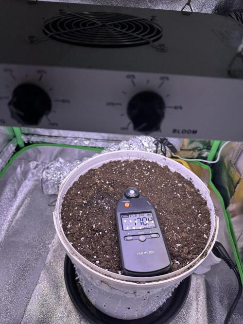 RQS Northern Light Auto (with LST). Week 0
