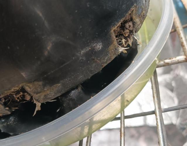 First reversal.. Week 2