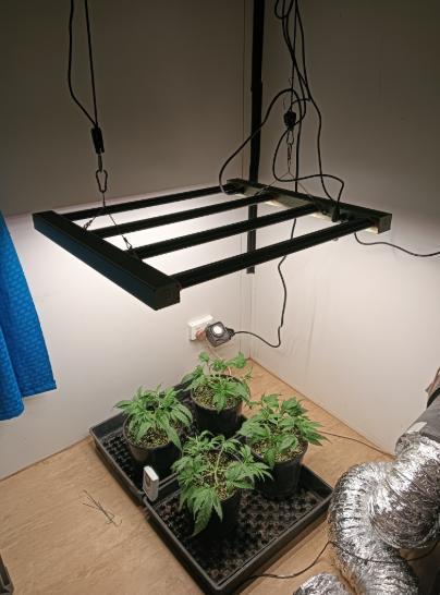 First reversal.. Week 3