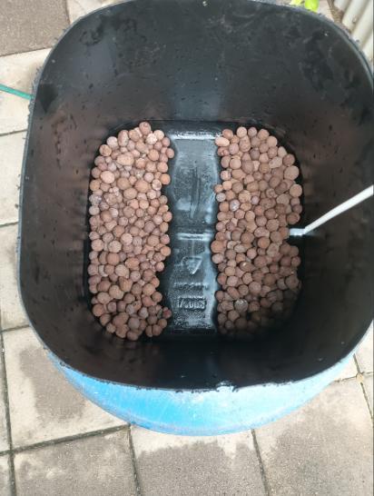 First reversal.. Week 3