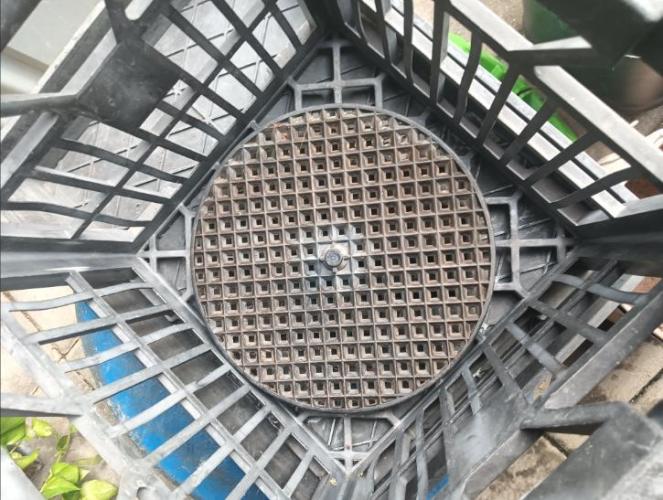 First reversal.. Week 3