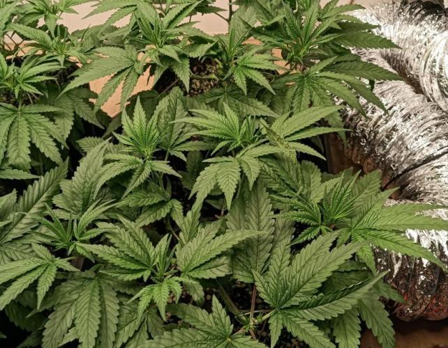 First reversal.. Week 3