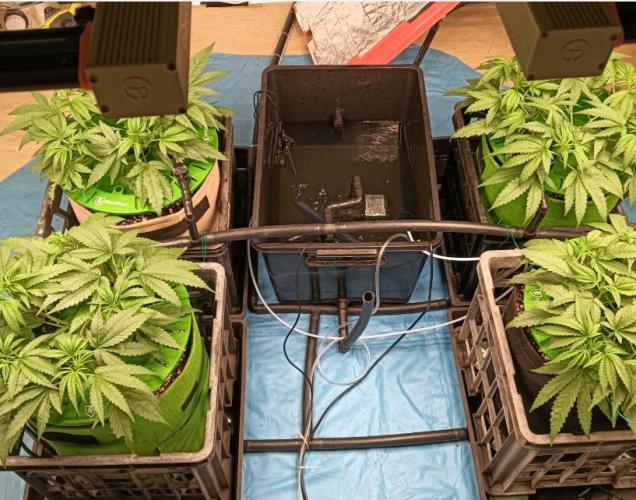 First reversal.. Week 4