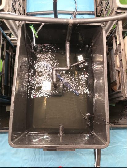 First reversal.. Week 4