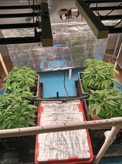 First reversal.. Week 4