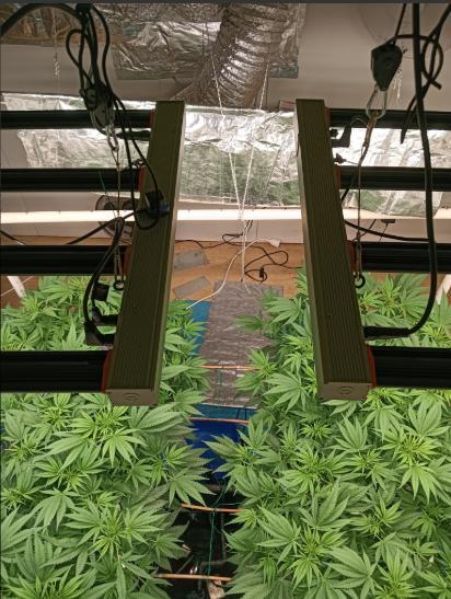 Fina clones.. Week 7 - Two suns in the sky on this planet.