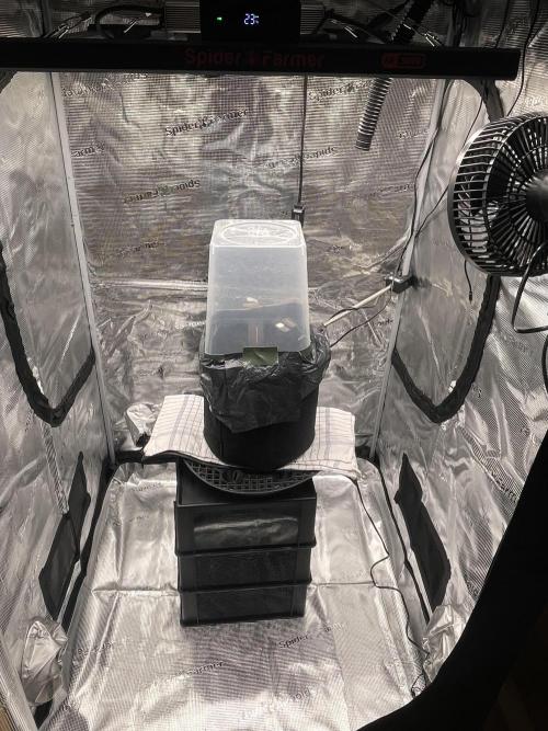 First 🌱💚. Week 0