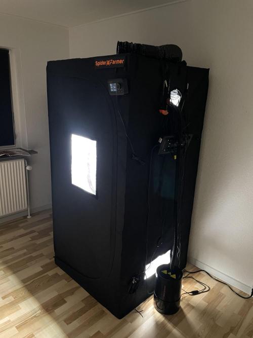 First 🌱💚. Week 0