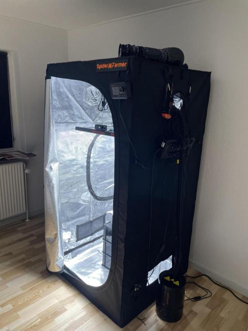 First 🌱💚. Week 0