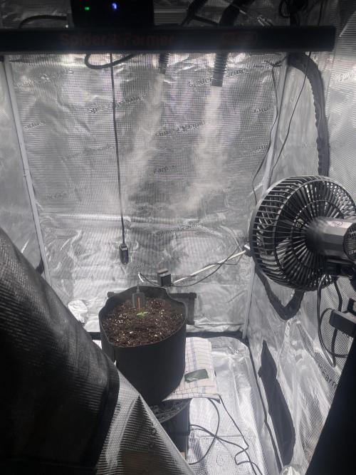 First 🌱💚. Week 0