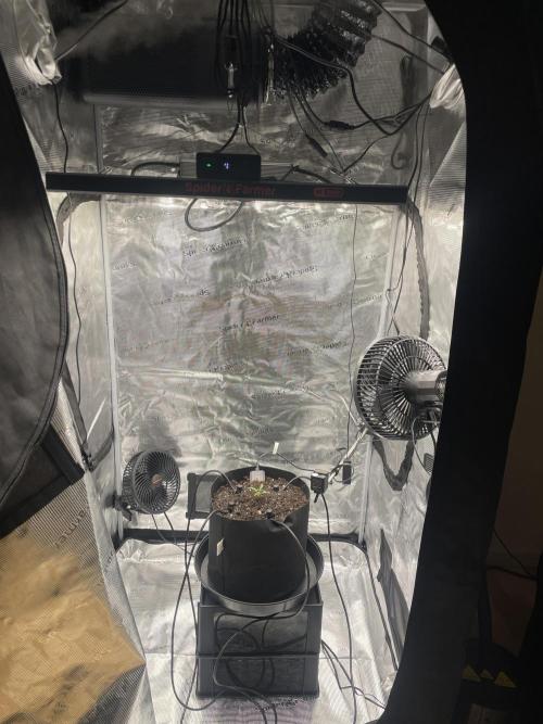 First 🌱💚. Week 1