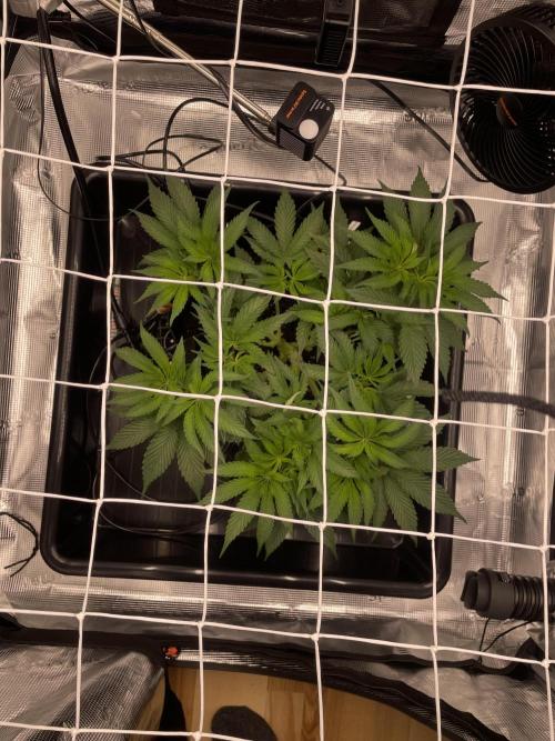 First 🌱💚. Week 6