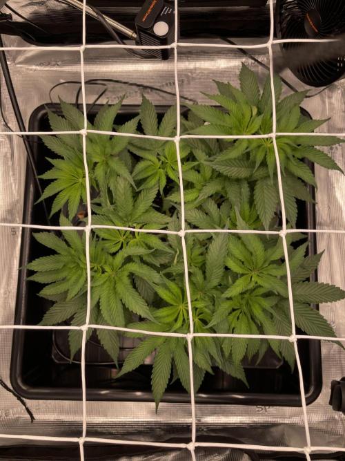 First 🌱💚. Week 6